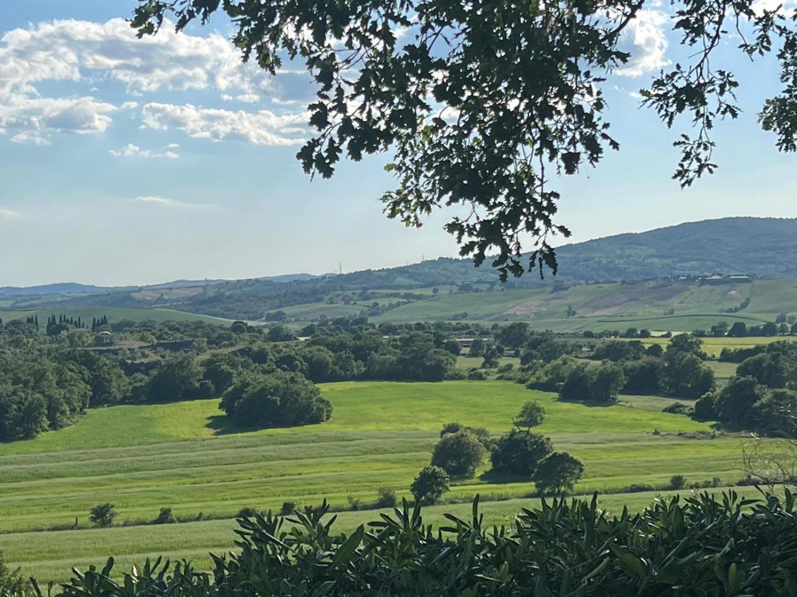 Agriturismo La Castellina Saturnia Εξωτερικό φωτογραφία