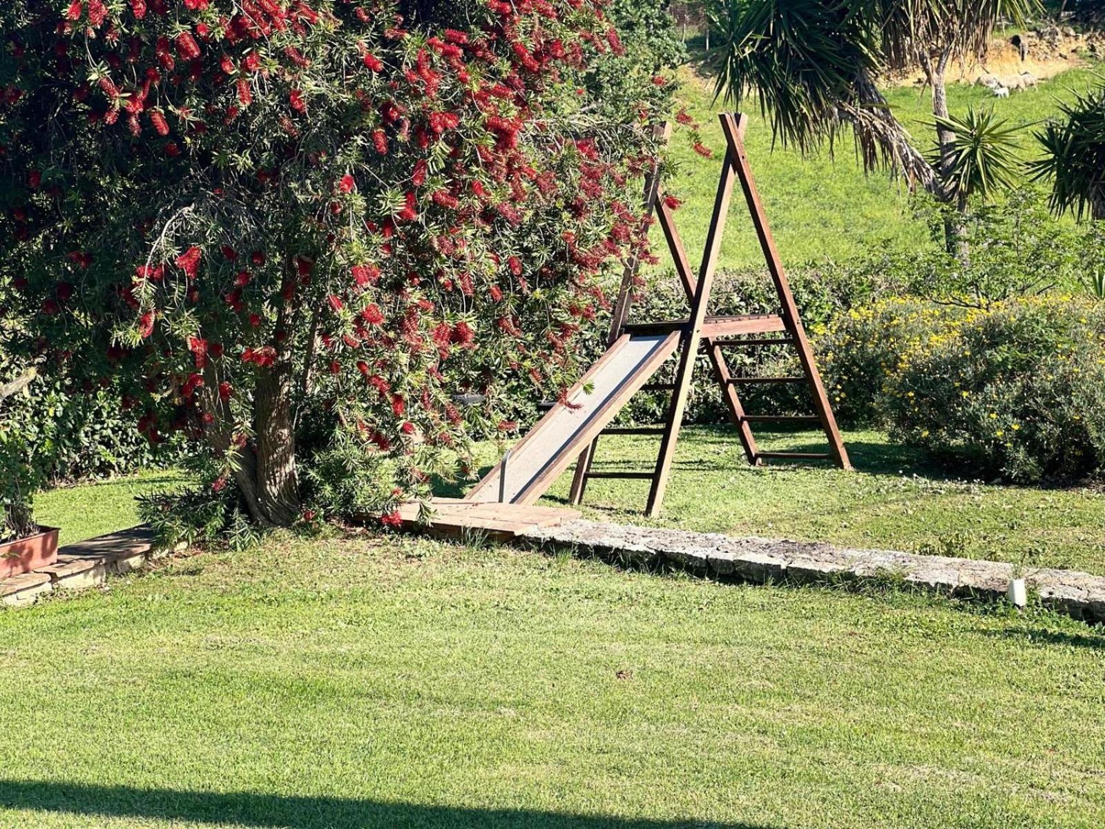 Agriturismo La Castellina Saturnia Εξωτερικό φωτογραφία