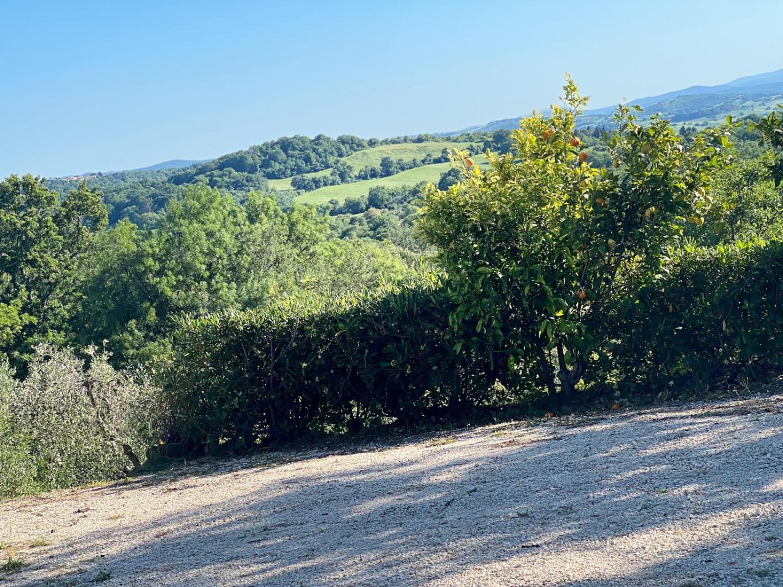 Agriturismo La Castellina Saturnia Εξωτερικό φωτογραφία