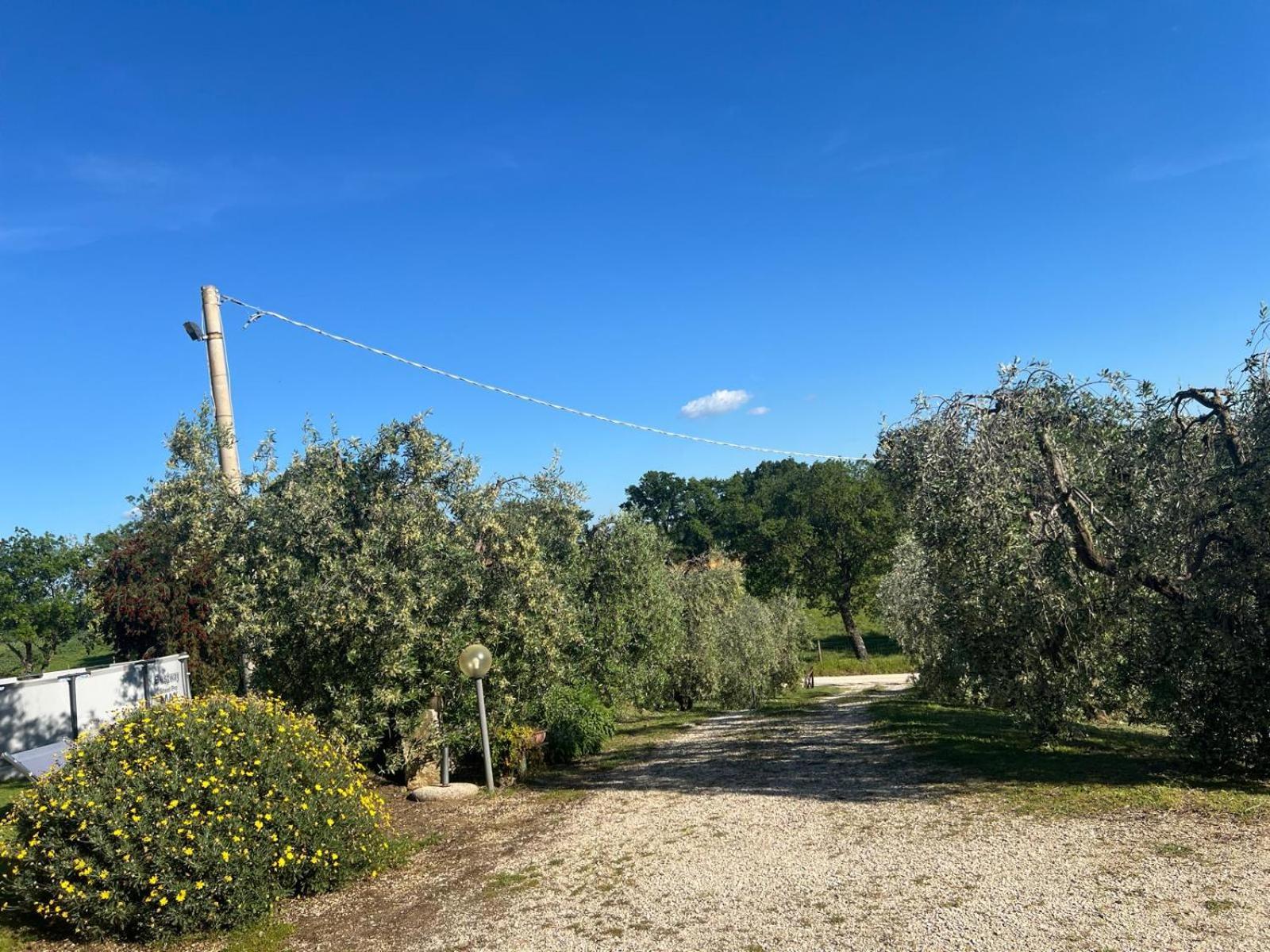 Agriturismo La Castellina Saturnia Εξωτερικό φωτογραφία
